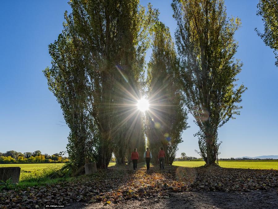 ROYAL COMMUNITY TOUR